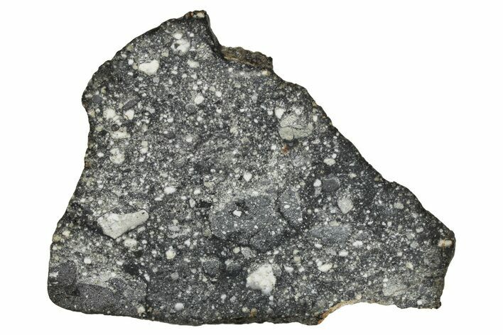 Polished Lunar Meteorite ( g) Slice - Aridal #355989